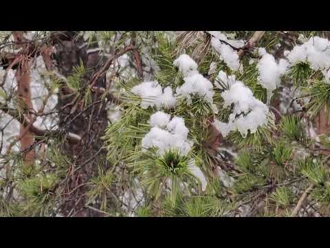Забайкальская зимняя сказка перед новым годом 