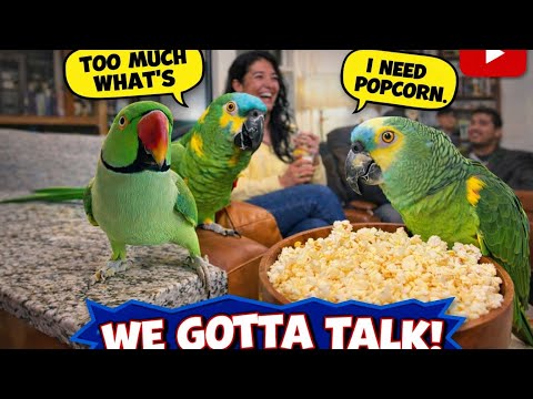 I Trained My Parrot to ROAST Like a Pro and Here's What Happened