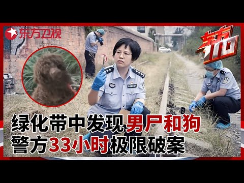 绿化带中发现离奇男尸, 脖子上拴着一条狗隐藏关键线索, 警方33小时极限破案 #东方110 FULL