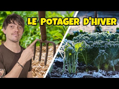 PRODUIRE des légumes même l'HIVER ! LE POTAGER D'HIVER