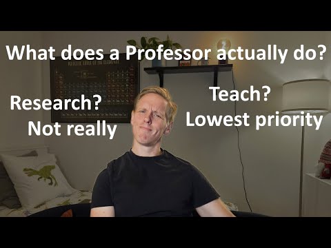 What is the actual job of a professor?