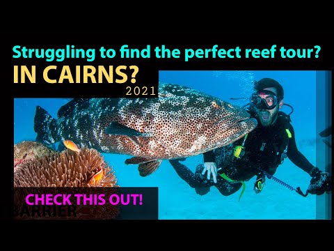 Struggling to find the perfect reef tour in Cairns?