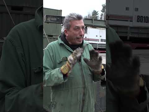 Morlock Motors - Die BOOT Countdown