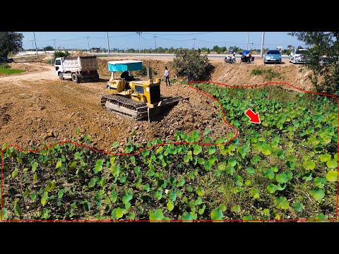 Wonderful technique landfill processing Bulldozer Komatsu D40P filling over water & swamp
