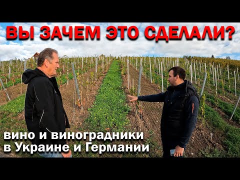 "- Мне тебя нечем удивить!" Фермер Германии о бизнесе виноградарство и виноделие. Винный кооператив.
