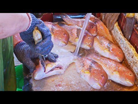 Seaport Market Fresh Fish！Rockfish, Red Tuskfish Fish Cutting/港口最青！石狗公, 紅石老(寒鯛)切割技巧-南方澳漁港