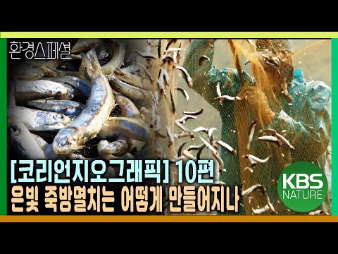 은빛 죽방멸치는 어떻게 만들어지나? [코리언지오그래픽-10편 시간의 그물 죽방렴] / KBS 20141218 방송