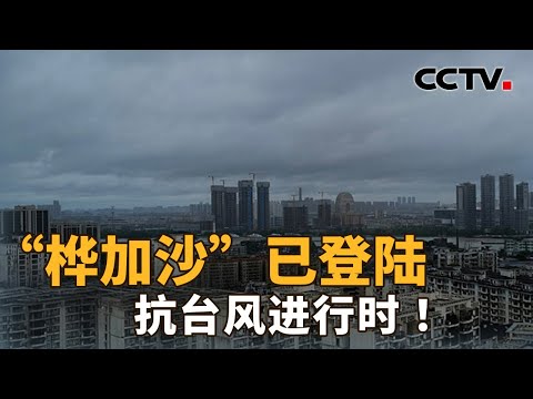 应对台风“桦加沙” 广东全省转移超220万人！下一步的工作重点：抢险救援+复工复产 | CCTV「新闻1+1」20250924