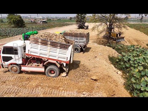 Wonderful Update Activity! Use D31P KOMATSU dozer filling Flooded land With​ Trucks 5ton Unloading