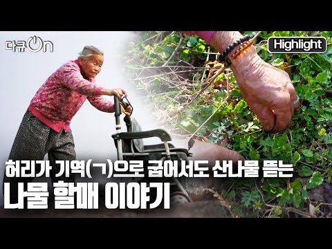 [Documentary On] The 98-Year-Old Wild Vegetable Grandmother Who Strives Through the Valleys of Ha...
