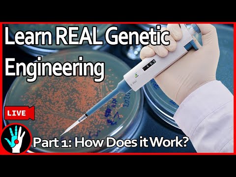 [LIVE] Learn Genetic Engineering - Part 1: How does it work?
