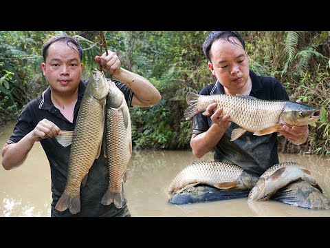 Discovered the school of fish, caught giant fish to make nutritious food for Pigs, Chickens, Ducks