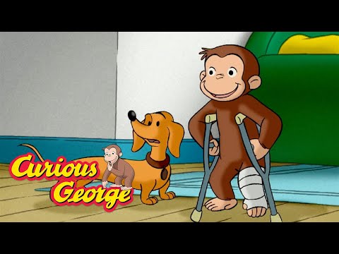 Hundley the Monkey Sitter!  🐵 Curious George 🐵 Kids Cartoon 🐵 Kids Movies