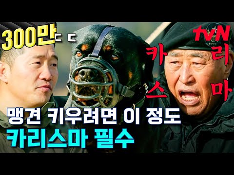 "강훈련 씨(?) 왔으니까 커피 좀 가져와!" 맹견 로트와일러에게 커피 심부름 시키는 카리스마 견주님과 신통방통 똑똑이 미스🖤코리🖤아 | 고독한훈련사