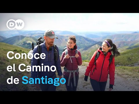 Todo lo que hay que saber sobre el Camino de Santiago