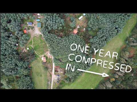 YEAR FOUR. Building and regenerating our offgrid land in Portugal