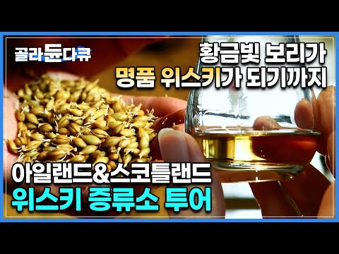 황금빛 보리가 ‘한 잔 1억’ 명품 위스키로 새롭게 탄생하는 과정│아일랜드&스코틀랜드 위스키 증류소 투어│양주│양조장│세계테마기행│#골라듄다큐