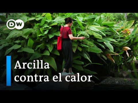 Condiciones meteorológicas extremas - ¿Por qué debemos construir de otra forma? | DW Documental