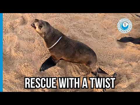 This One Really Didn’t Want Our Help!