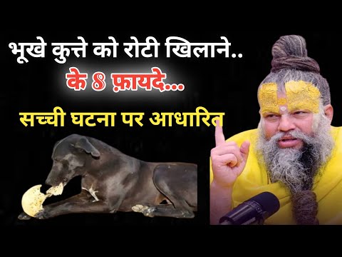 कुत्ते को रोटी देने के 8 अद्भुत फ़ायदे… जो जीवन बदल देते हैं | Premanand Ji Maharaj #premanandji 