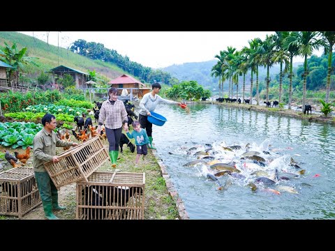 Off-Grid Farming Done for Real — Goat Harvest, Tree Planting & Stone Work