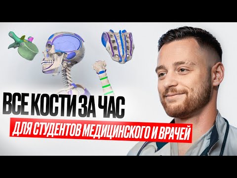 Остеология за 60 минут | Скелет человека | Анатомия