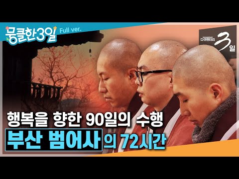 [다큐3일★Full] 한 해의 끝자락, 행복의 참뜻을 찾아가는 90일간의 마음 공부✨ ‘부산 범어사'의 72시간 | KBS 방송