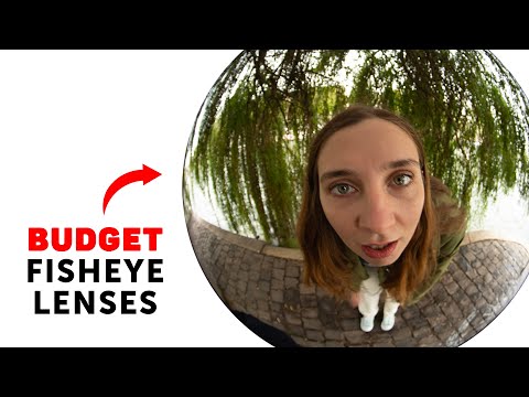 Fisheye Lenses: The Good, the Bad, and the Best