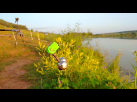 Рыбалка на донки в июльскую жаркую погоду.