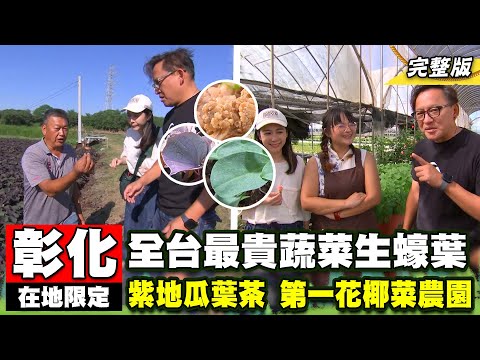 《詹姆士出走料理》全台最貴蔬菜「生蠔葉」 彰化限定!!紫色地瓜葉茶、一吃就上癮花椰菜乾農家菜!-第243集-2024/1/14