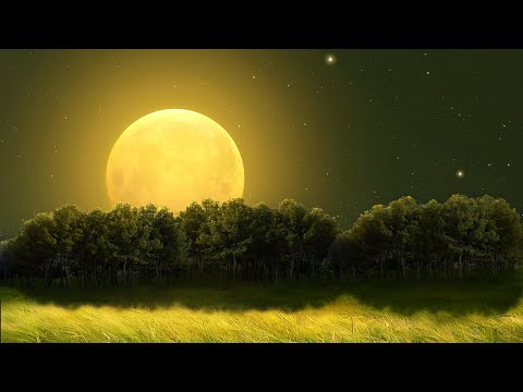 ¿No Puedes Dormir? ★ ︎Intente Escuchar Durante 2 Minutos ★ ︎Duerma Rápido, Sueño Profundo