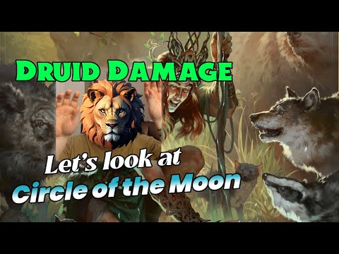 DRUID: D&D 5.24 Damage 2024 Player's Handbook