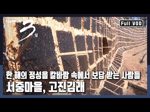 [다큐3일★풀버전] ⏱오랜 시간 '김'과 함께 살아온 남쪽 바다의 작은 🏠갯마을 "고진감래 - 강진 서종마을 72시간" (KBS 20170219 방송)
