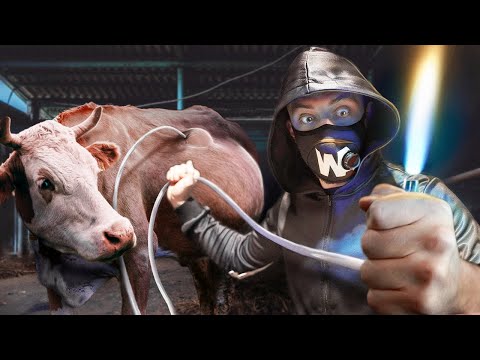 Кошмары Фермера