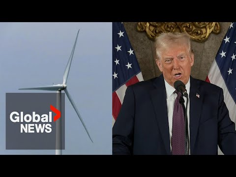 Trump says windmills are "driving the whales crazy" in tirade against wind energy