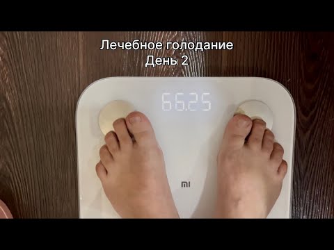 🇰🇿 Therapeutic Fasting Day 2 | Weight 66 kg