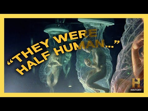 Are the Greys Already Among Us? Alien Hybrids & Robots Revealed | Ancient Aliens | History