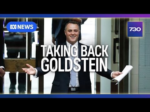 Liberal Tim Wilson reclaims his former seat of Goldstein | 7.30