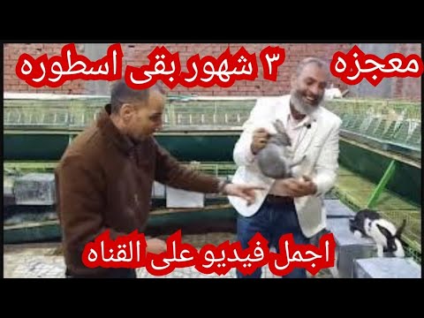 شاب ما يعرفش في الارانب٣ شهور بقى اسطوره شوف الخير اللي عنده انا فرحان بك قوي يا محمود