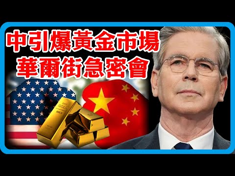 中國黃金市場不再讓步！華爾街大佬緊急密會，金價慘跌暴虧150萬，美萬億防線面臨崩潰，拋售潮來了？#竇文濤 #圓桌派 #中美關係 #特朗普 #紀實 #經濟 #歷史 #聊天 #推薦 #熱門