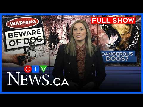 Should Nova Scotia implement a dangerous dog registry? | CTV News at 5 for March 11, 2026