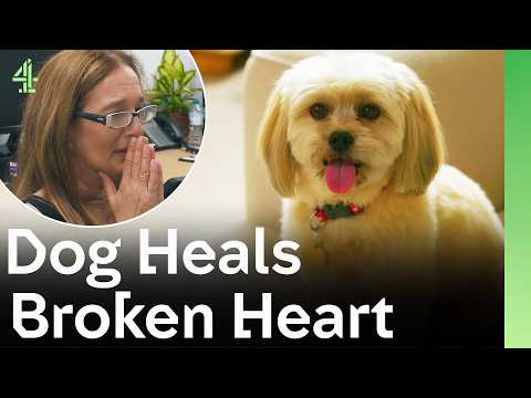 Dog Heals Man's Broken Heart | The Dog House 🐶