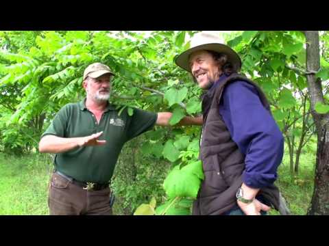 Джеф Лотон и Марк Шеппард - Пермакультура для дохода