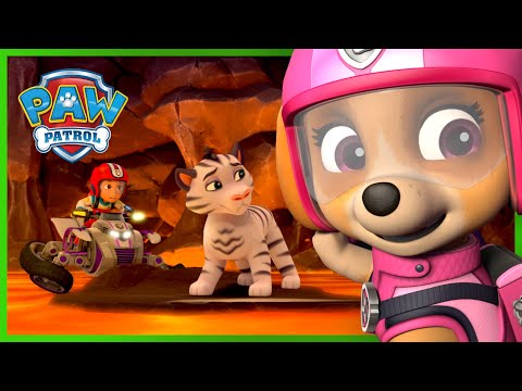 天天解救被困火山的老虎们和更多！- PAW Patrol 汪汪队立大功 - 儿童卡通
