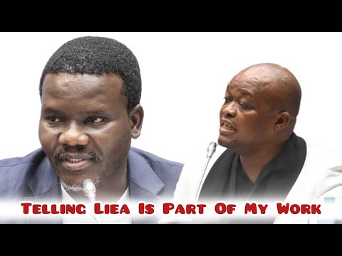 WATCH | Brown Mogotsi pressed by Chief Whip over alleged lies