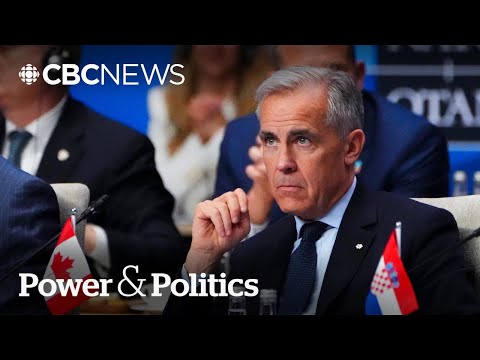 Don't get 'distracted' by 5% NATO target, former officer warns government | Power & Politics