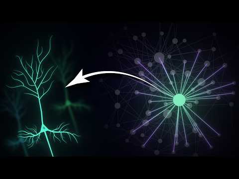 A Surprising Way Your Brain Is Wired