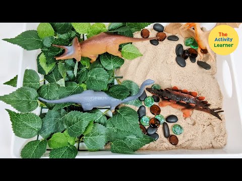 Dinosaur Sensory Bin | Activities for Children | Educational Videos for Kids