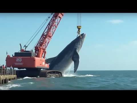 50 Most Dangerous And Biggest Heavy Equipment Machines Working At Another Level