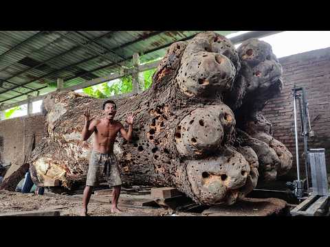 MYSTERIOUS DISCOVERY!! What Happened During the Cutting of This Old Joar Wood Shocked Everyone